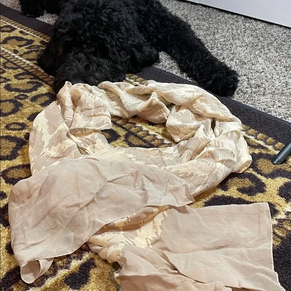 🧣 Coach Silk Rhinestone Logo Scarf — Listing Description - Picture 2 of 6